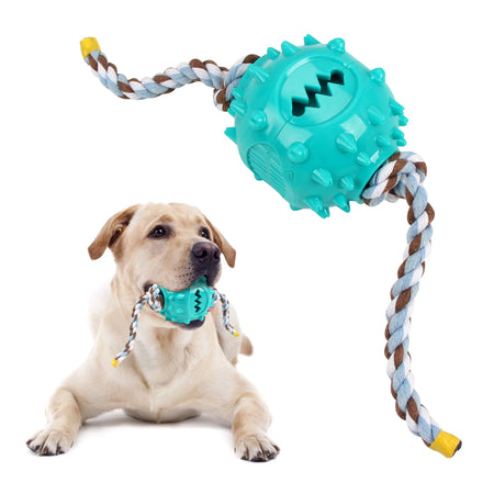 Coolplay Dog Chew Toys &ndash; Interactive Teeth Grinding and Food Dispensing B Blue