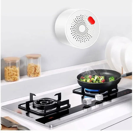 Tuya Smart WiFi Mini Gas Detector With Plug &ndash; Plug In Ready