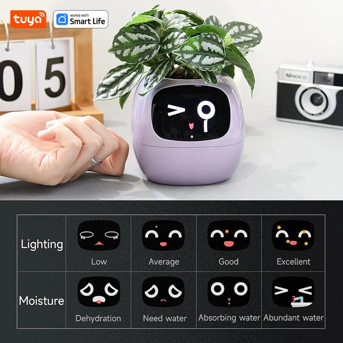 Tuya Ivy Smart Planter with AI Sensors and 49 Expressions