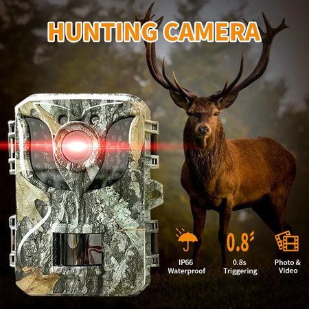 Outdoor Waterproof Hunting Camera &ndash; Night Vision HD Imaging