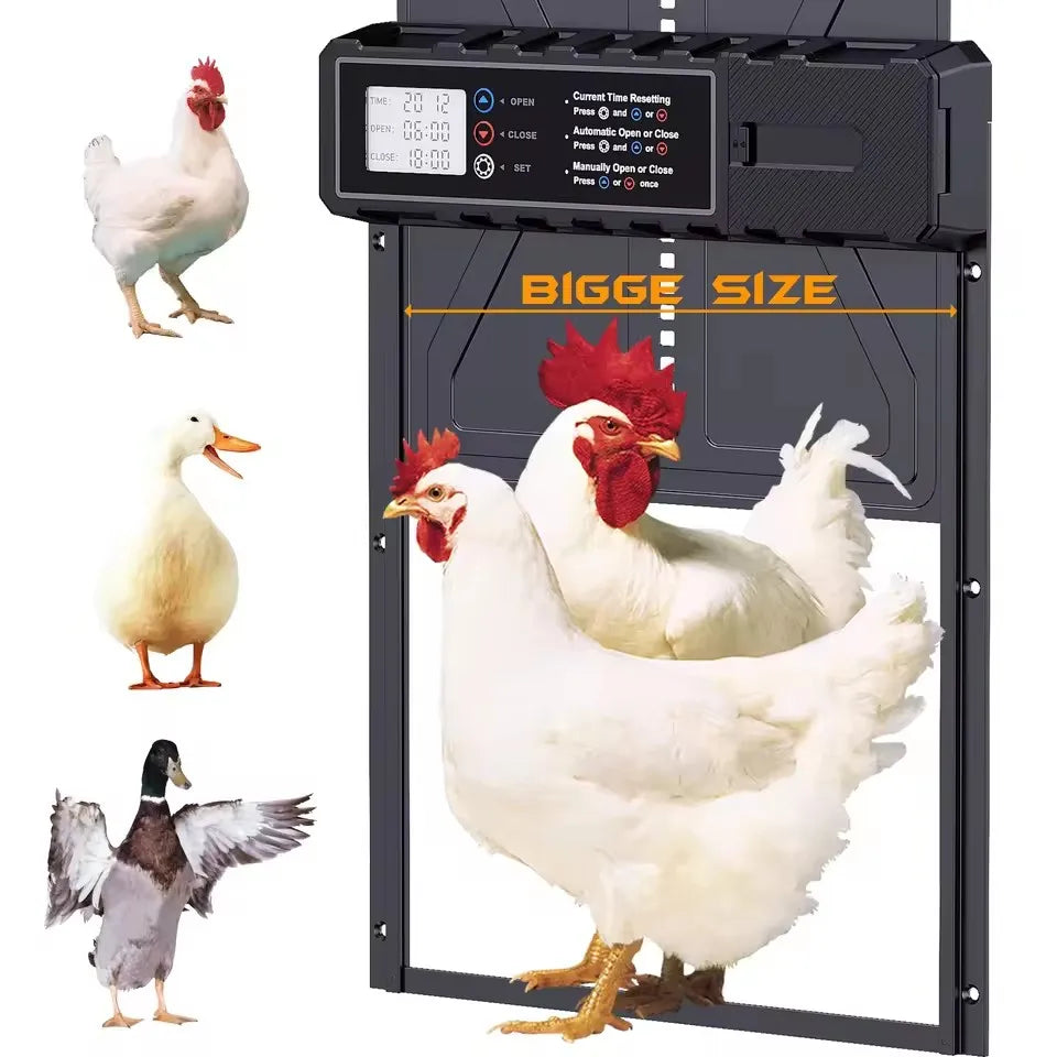 PFS-172C Aluminum Automatic Chicken Coop Door &ndash; Smart Timer BLACK / CHINA