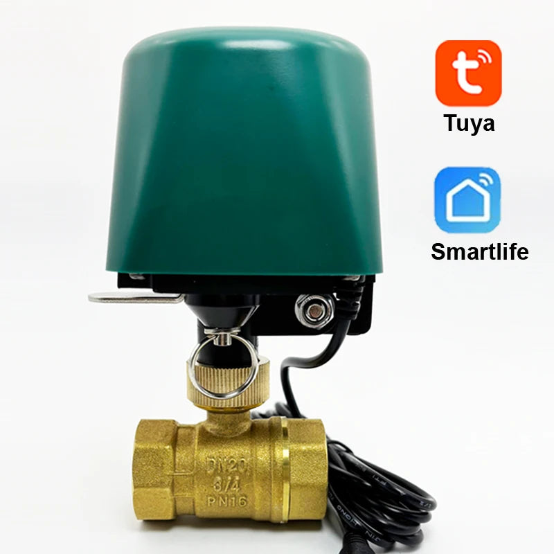 Pametni WiFi krmilnik vodnega ventila z ZigBee, 12V vtičnica, Alexa in Google Home