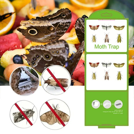 5Pcs Moth Pheromone Traps For Closet Pantry Kitchen Clothes