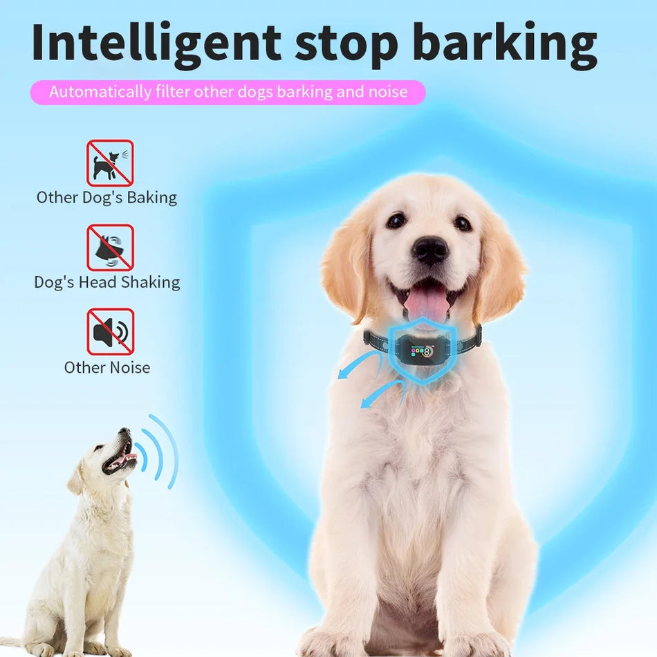Automatic Dog Training Collar &ndash; Waterproof Type C Charging