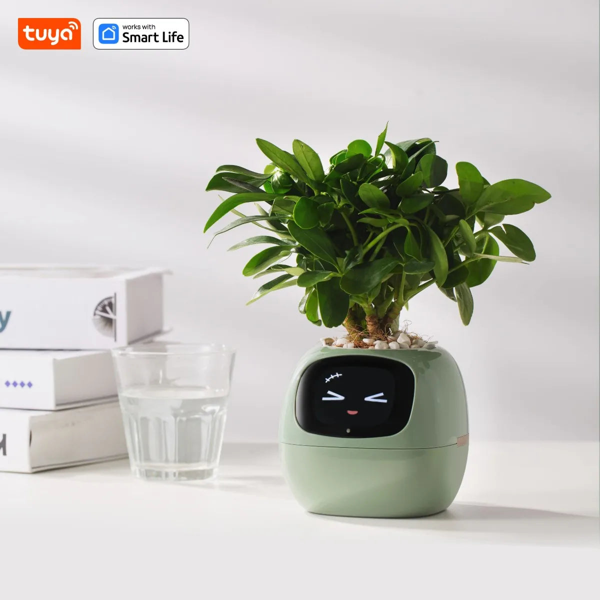 Tuya Ivy Smart Planter with AI Sensors and 49 Expressions LightGreen