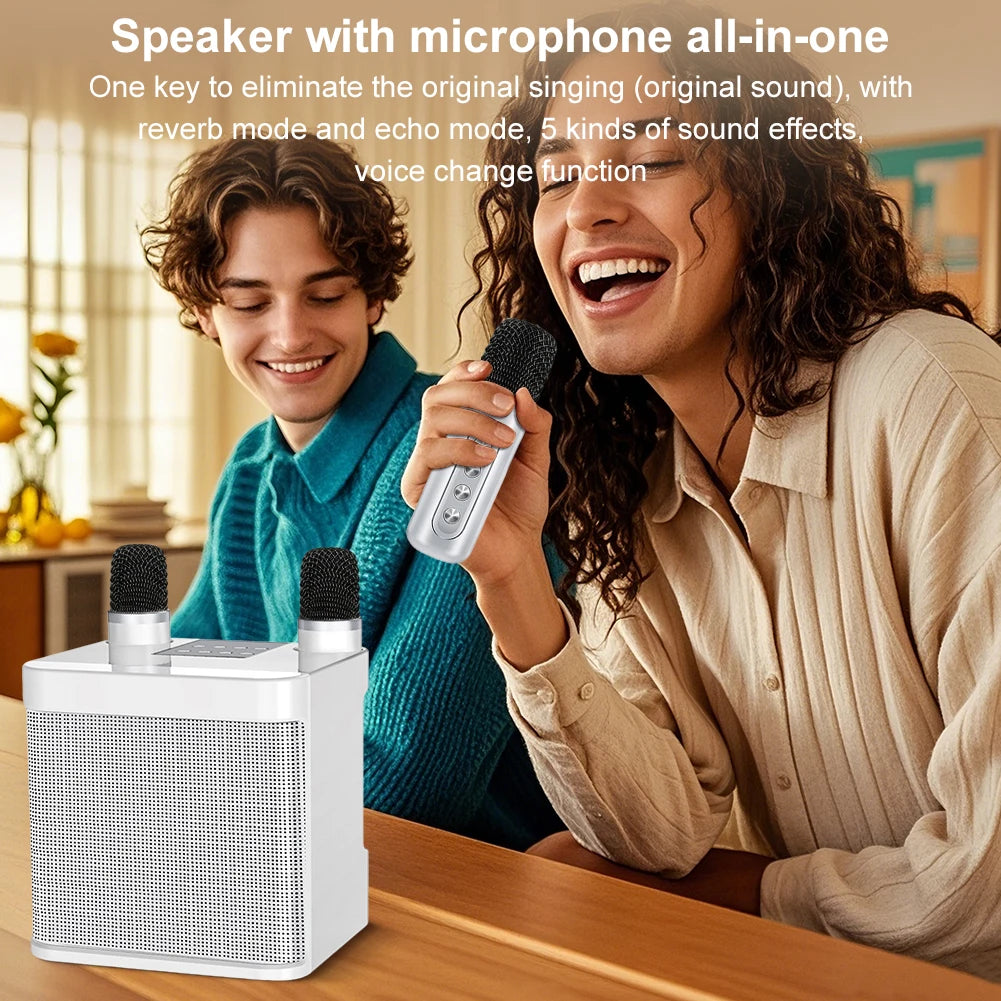 Alloyseed Portable Karaoke Boombox &ndash; Dual Mic Wireless