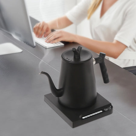 1000W Stainless Steel Electric Kettle &ndash; Temperature Control