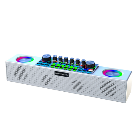 Home KTV Karaoke Speaker All-in-One &ndash; Bluetooth 5.0