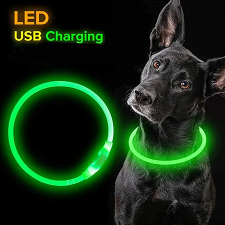 Luminous LED Dog Collar with USB Rechargeable Light