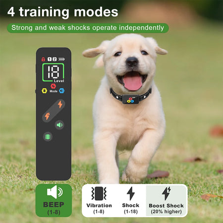 800M Electric Dog Training Collar &ndash; Waterproof Rechargeable