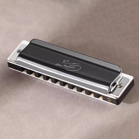 SWAN Blues Harmonica C Key 10 Holes &ndash; Ideal for Beginners