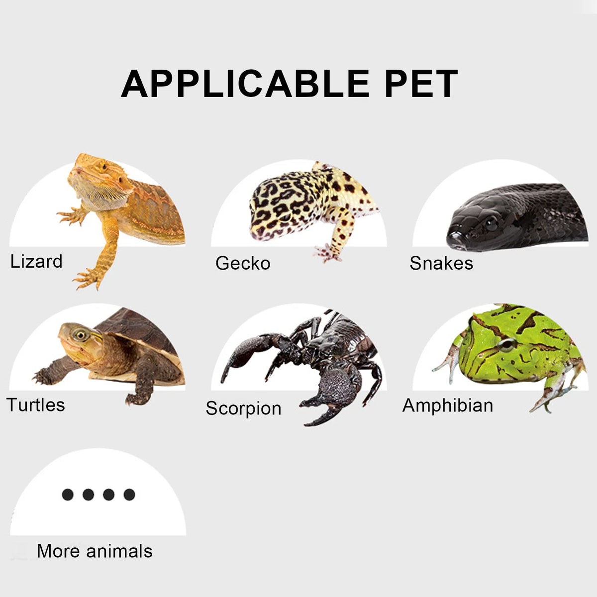 USB Reptile AntiScratch Heating Pad &ndash; Temperature Control