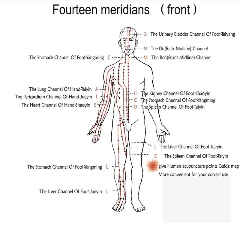 Hwato SDZ III Electro Low Frequency Stimulator &ndash; Six Channel