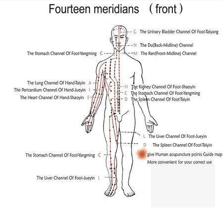 Hwato SDZ III Electro Low Frequency Stimulator &ndash; Six Channel