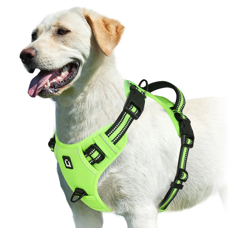 No Pull Dog Harness &ndash; Soft Padded Vest With Easy Control light green / S