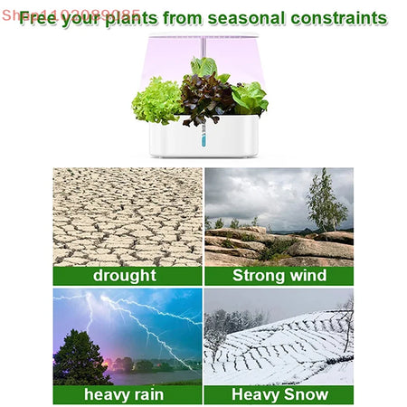 Intelligent Hydroponic Growing System &ndash; Auto Timer Light