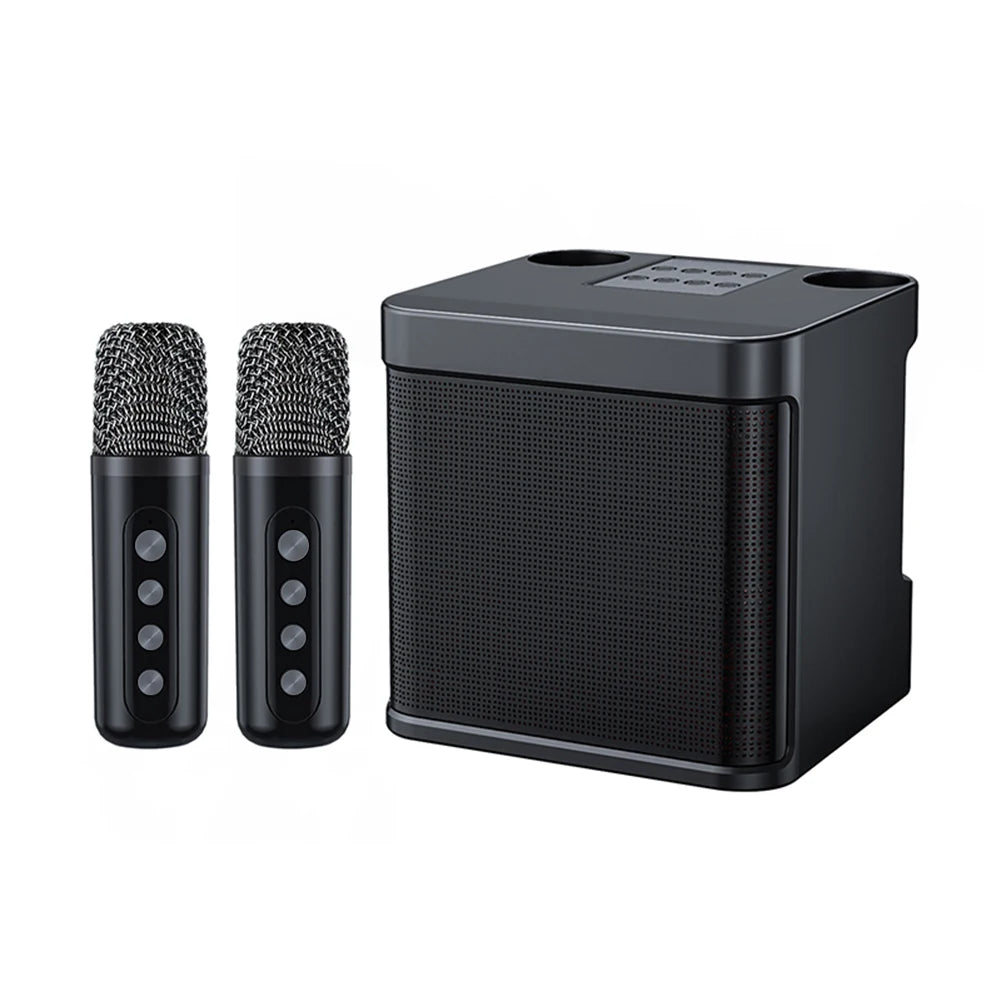 YS203 Karaoke Speaker &ndash; Ultra Clear Karaoke Sound System black