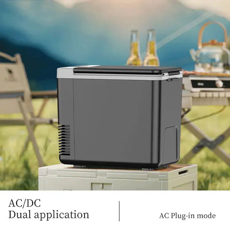 10L Mini Car And Home Refrigerator 12V 220V Portable Icebox