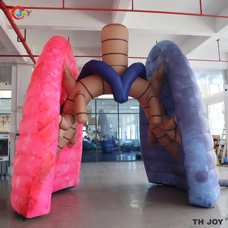 4m Υψηλό Φουσκωτό Μοντέλο Πνεύμονα Για Ιατρική Διδασκαλία