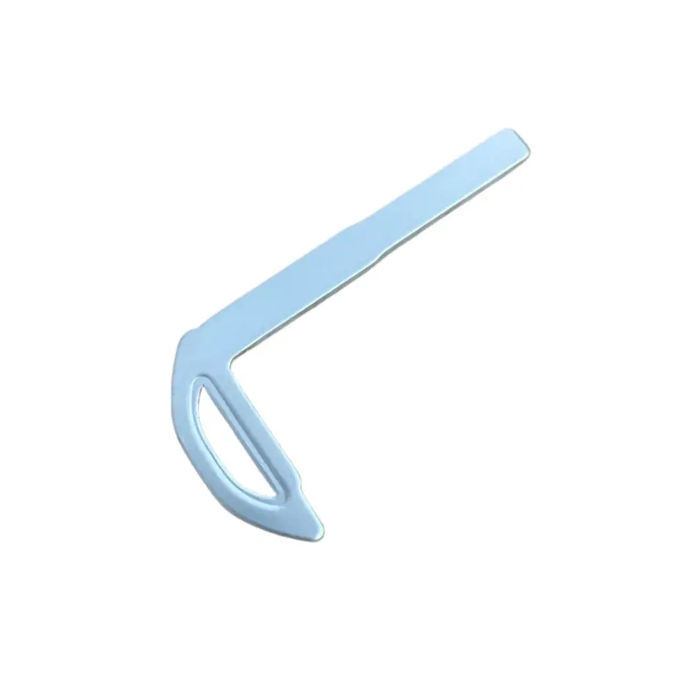 10Pcs/Lot Emergency Insert Smart Small Mechanical Key Blade For Volvo S80 Smart Card Key by InterCyprus Trading Ltd