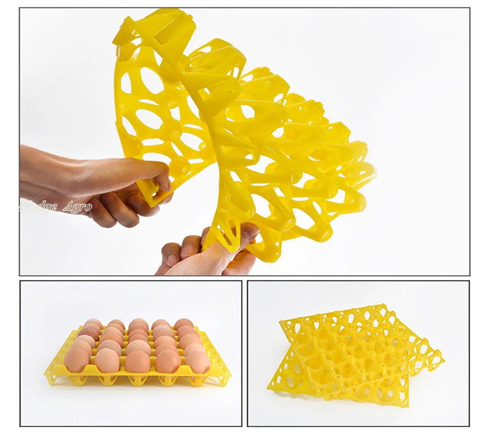 30 Holes Egg Crate Tray &ndash; Reusable Colorful Transport Tray