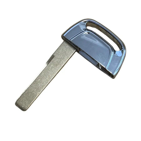 1 pcs Car Remote Key Uncut Blade For Audi Q5 A4L A5 A6 A7 A8 RS4 RS5 S4 S5 Smart Key Shell by InterCyprus Trading Ltd