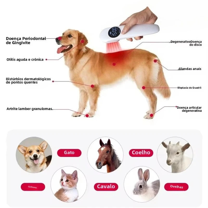 Hundars Kall Laserterapi Kamm Röd Ljus Veterinär Enhet Smärta