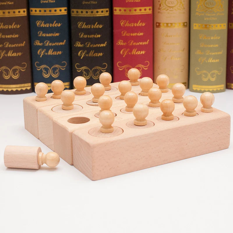 Montessori Knobbed Cylinder Socket Toy - Motor Skills