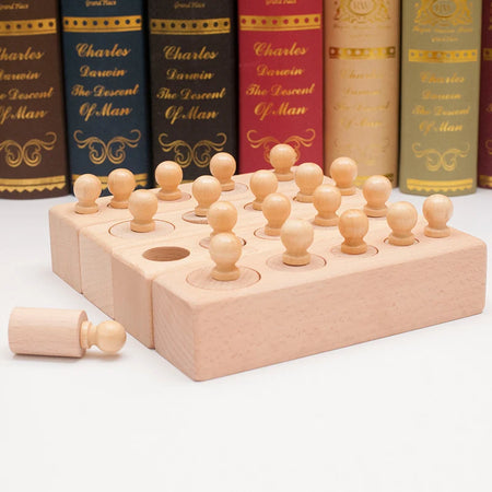 Montessori Knobbed Cylinder Socket Toy - Motor Skills