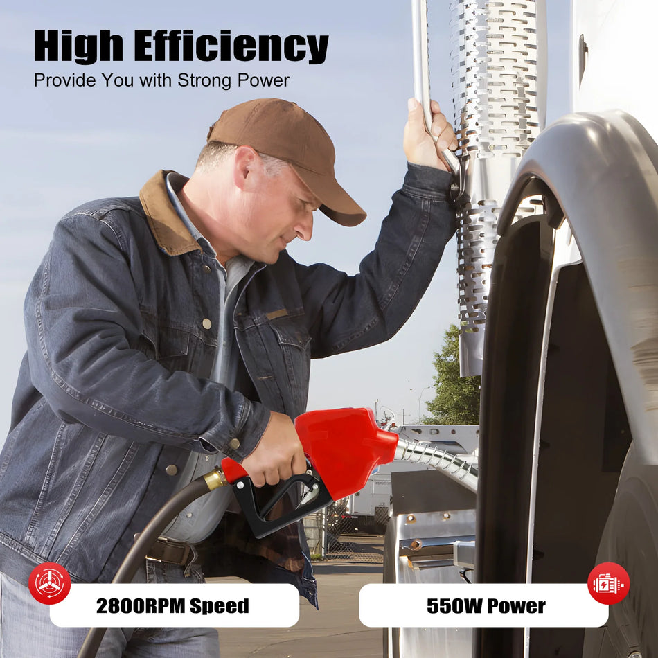 Pompa di trasferimento diesel auto-primante LG 1008 550W 2800RPM