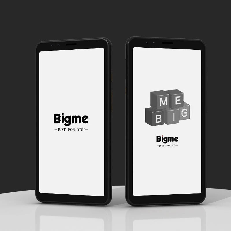 Bigme Hibreak Ebook Reader &ndash; Android 11 With Google Play Black White Screen / GERMANY