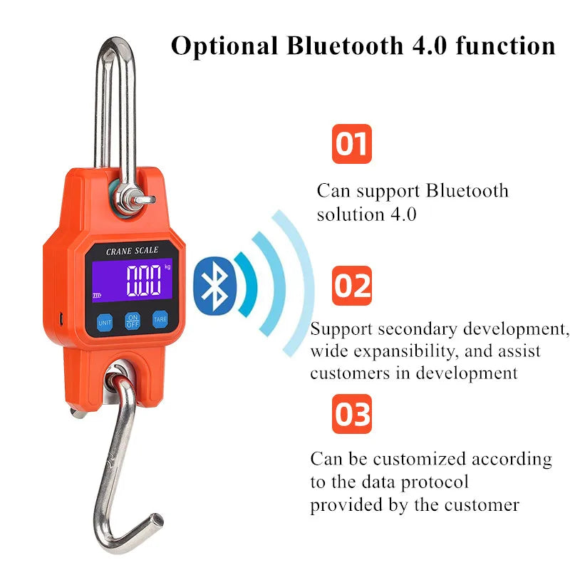 WH-C06B Bluetooth Portable Hook Scale &ndash; 300kg Capacity