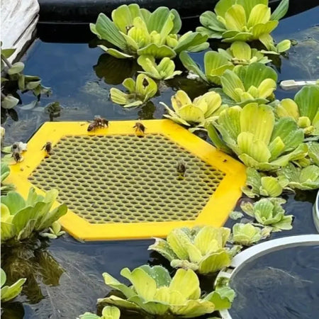Floating Bee Island Waterer - Hexagonal Drinker Tray