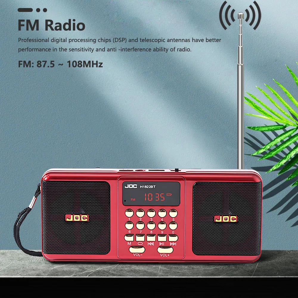 Portable Wireless FM Radio Speaker with Bluetooth and Rechargeable Battery