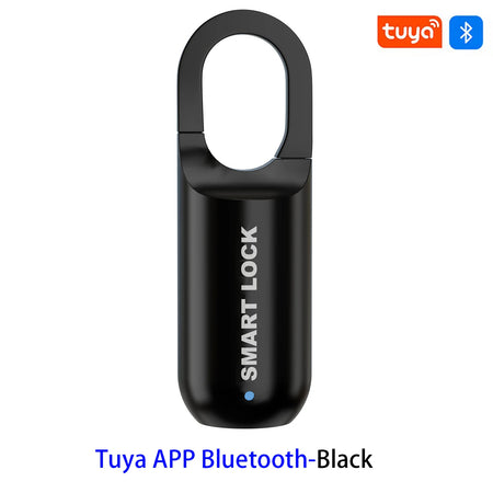 Original Mini Fingerprint Drawer Lock &ndash; Biometric Access M10F tuya app black