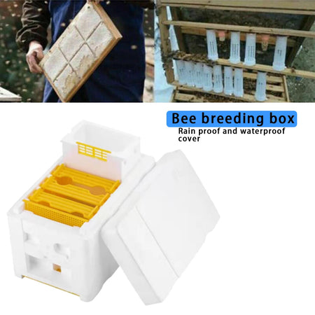 Queen Bee Rearing Beehive Box Foam &ndash; Lightweight Build