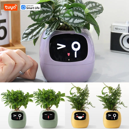 Tuya Ivy Smart Planter with AI, 49 Expressions &amp; 7 Sensors