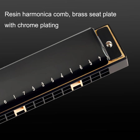 Guoguang Tremolo 24 Hole Harmonica Key C &ndash; With Case