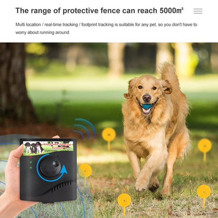 W-227 Electronic Fence Training Collar &ndash; Rechargeable