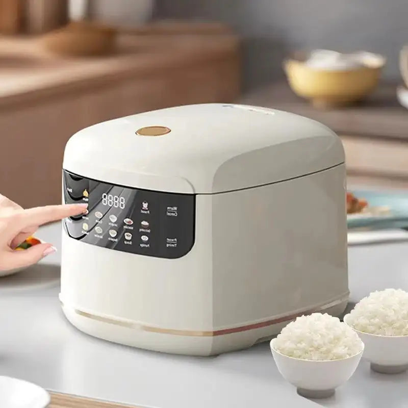Multi Cooker Electric Rice Cooker 2L Nonstick Pot Steamer