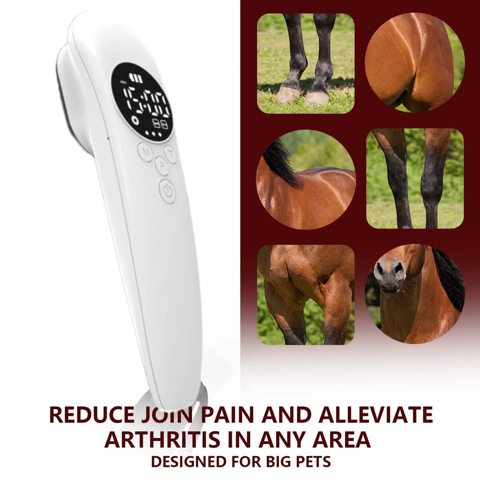 Laser cu dublă lungime de undă pentru cai 650nm 808nm Tendinită