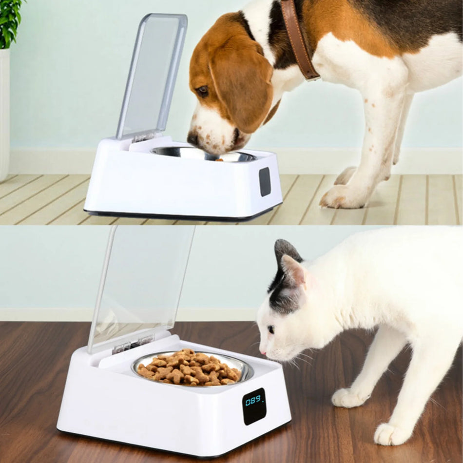 Infrared Sensor Cat Feeder &ndash; Digital Display Easy Clean