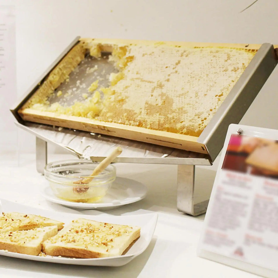 Beehive Frame Holder &ndash; Durable Beehive Frame Display Stand