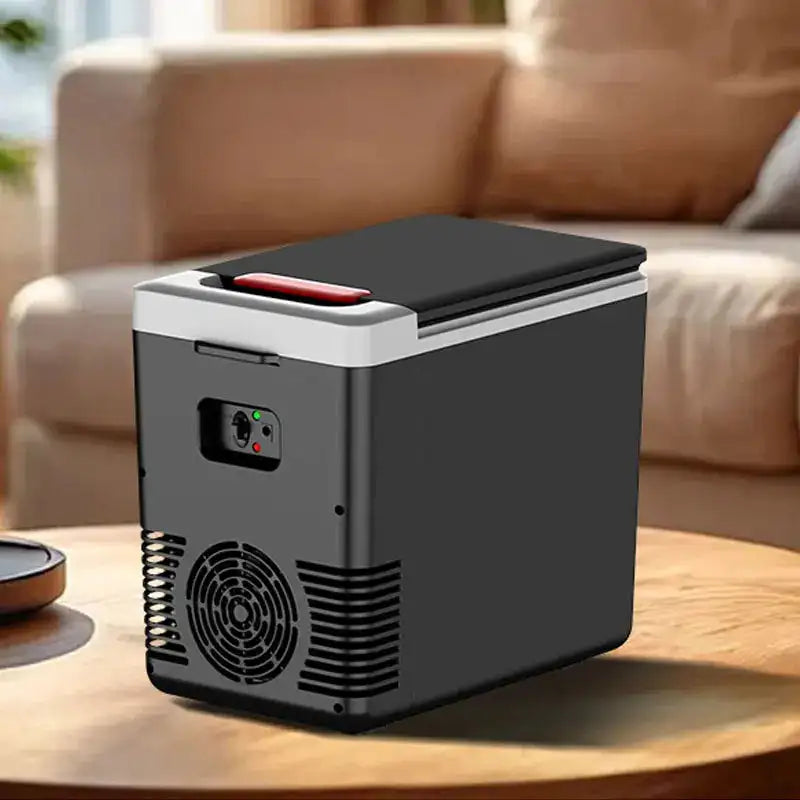 10L Mini Car And Home Refrigerator 12V 220V Portable Icebox