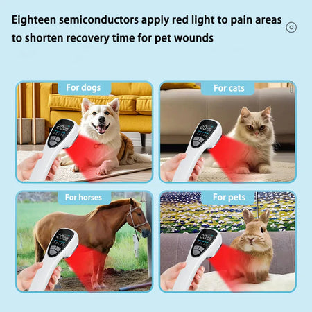 650nm 808nm Low Level Laser Therapy Device &ndash; Effective Pain Relief for Body and Pets