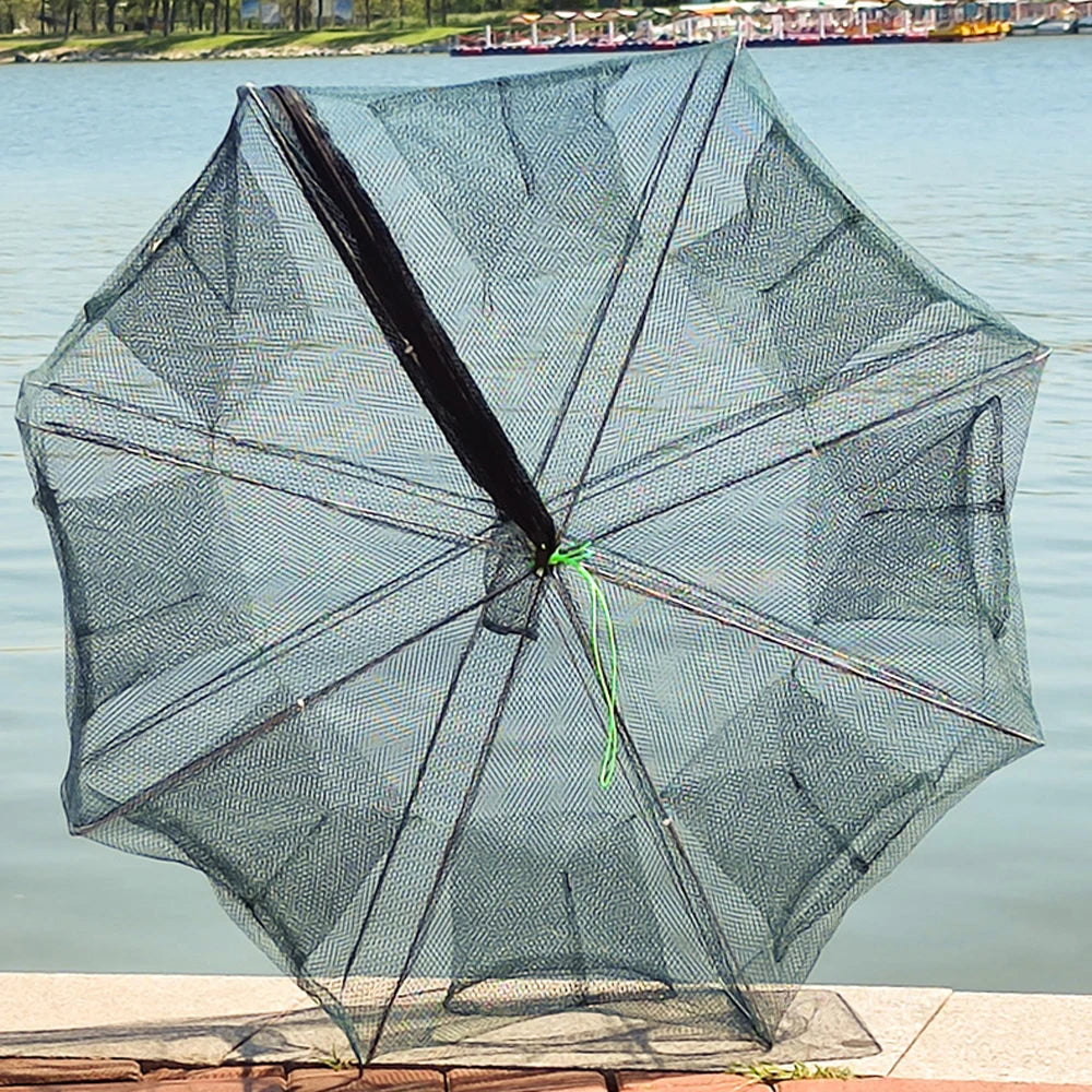 Foldable Fishing Bait Trap - 6 to 20 Holes for Fish, Crab, Shrimp Catching