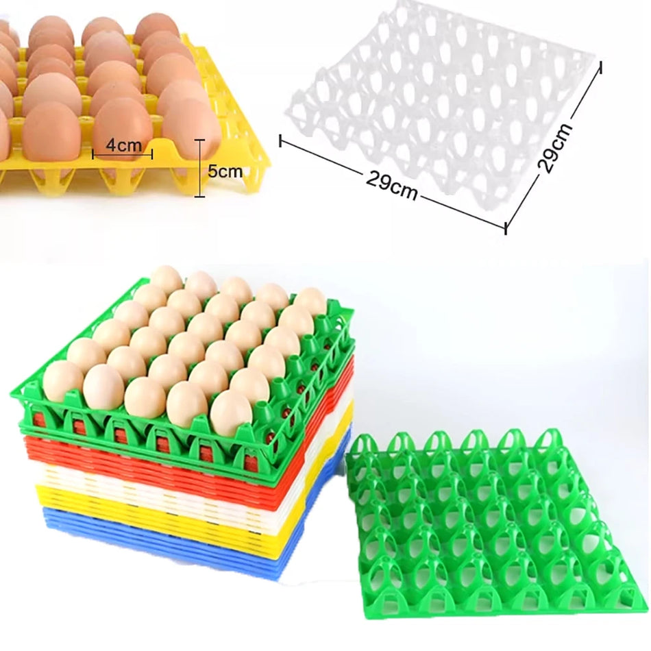 30 Holes Egg Crate Tray &ndash; Reusable Colorful Transport Tray white / 10 pcs