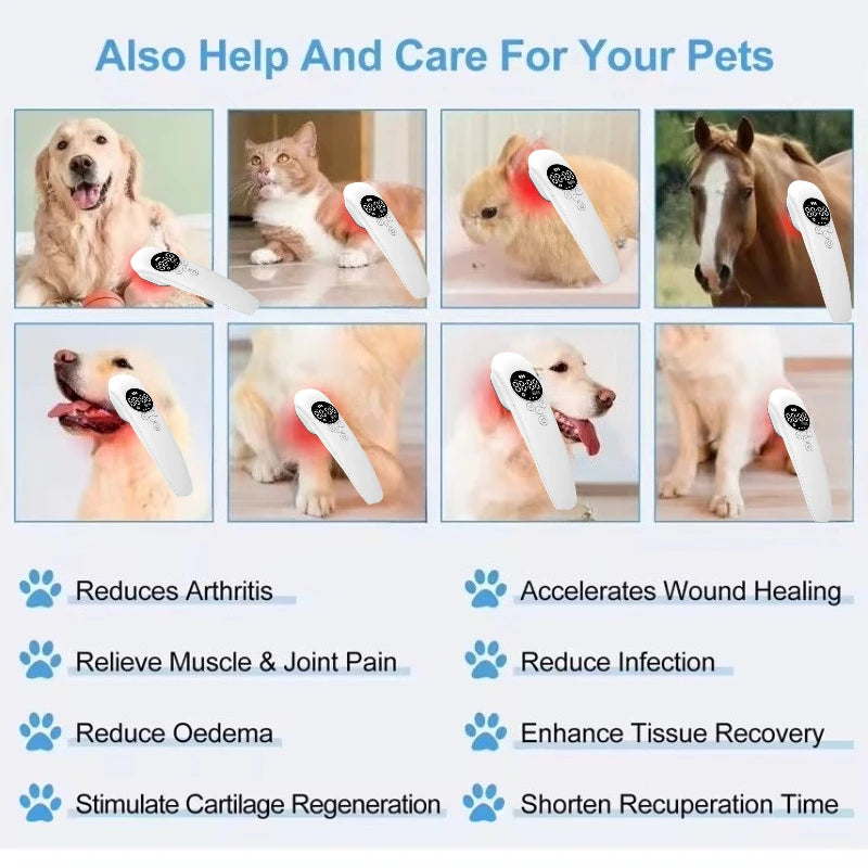 HLKGO Terapie bolesti laserem 650nm 808nm pro tělo a domácí zvířata