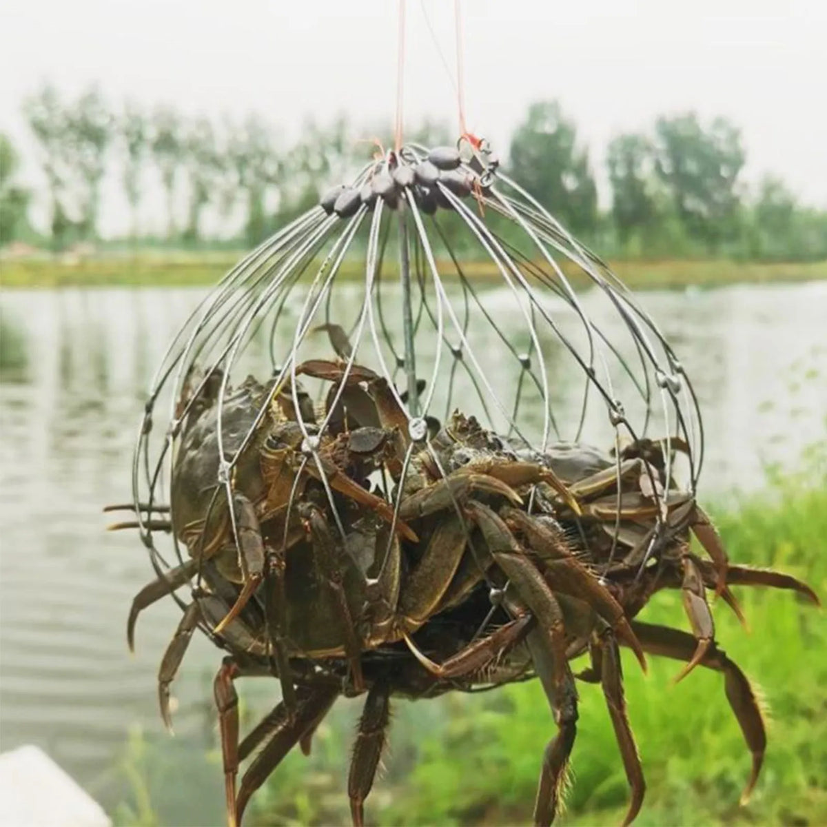 Durable Automatic Crab Trap - Steel Wire Fishing Net