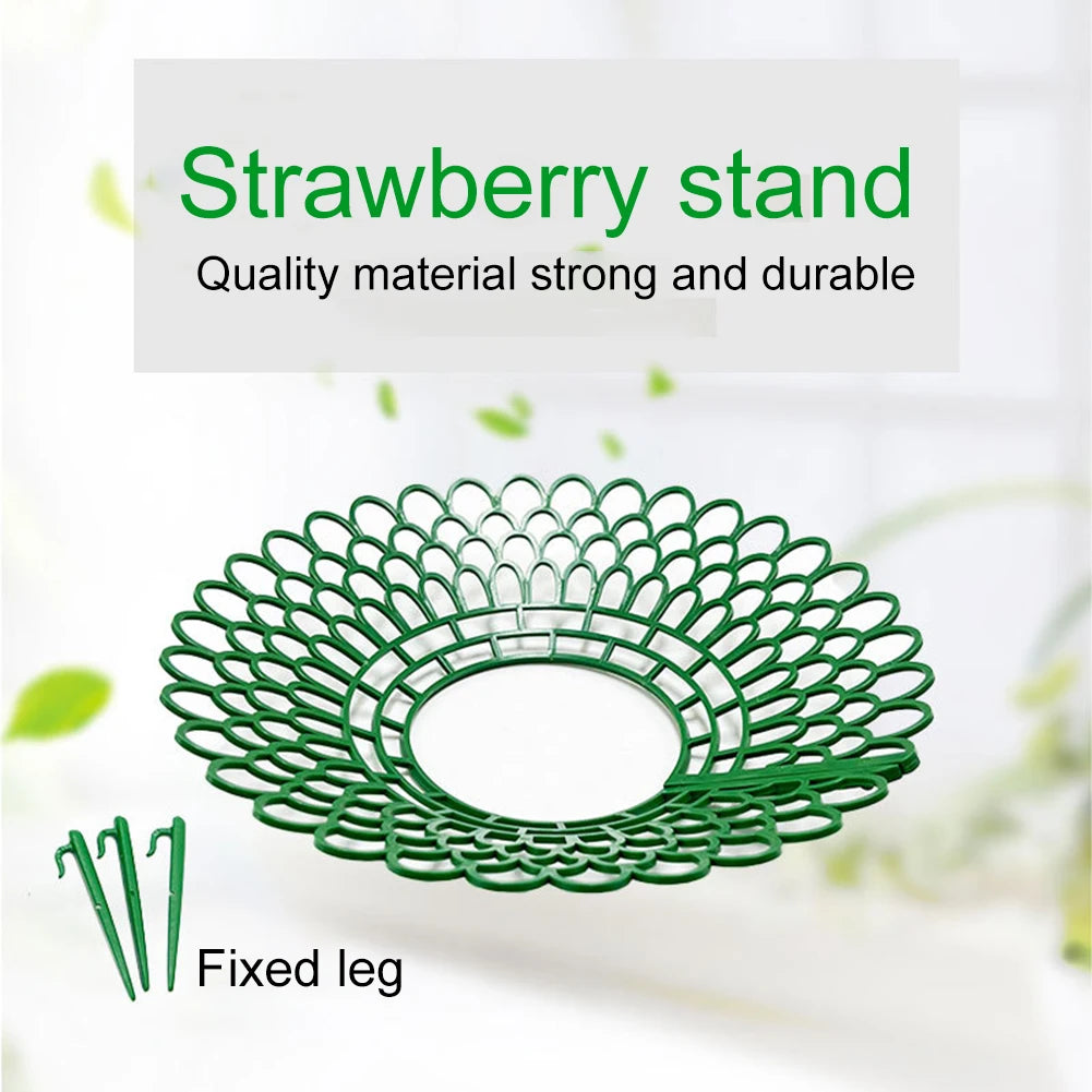 Sturdy 5PCS Strawberry Supports for Optimal Plant Growth